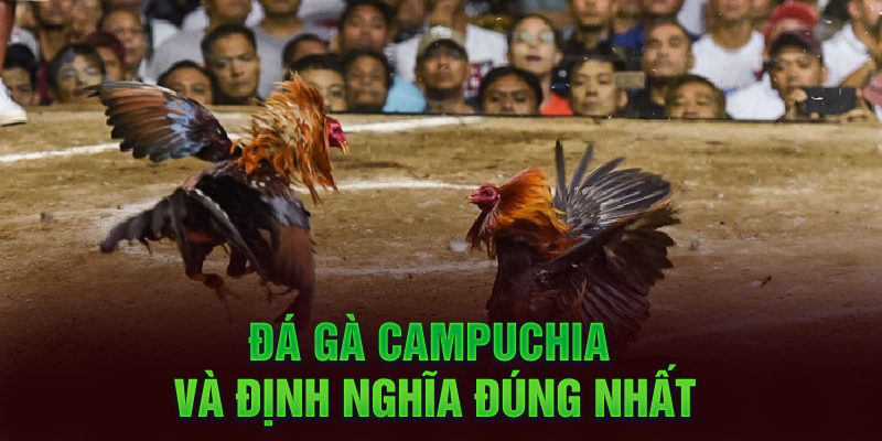 Đá gà Campuchia và định nghĩa đúng nhất