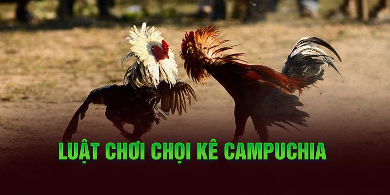 Luật chơi chọi kê Campuchia