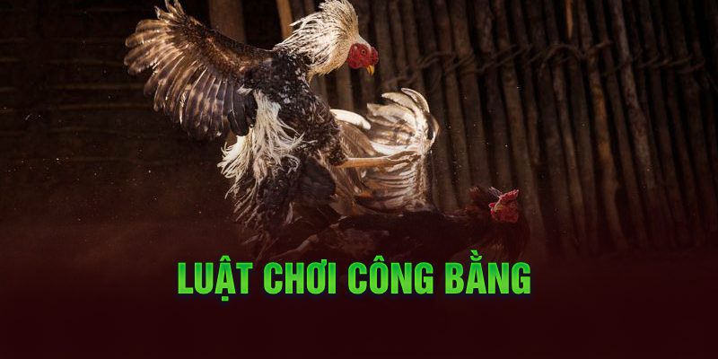 Luật chơi công bằng